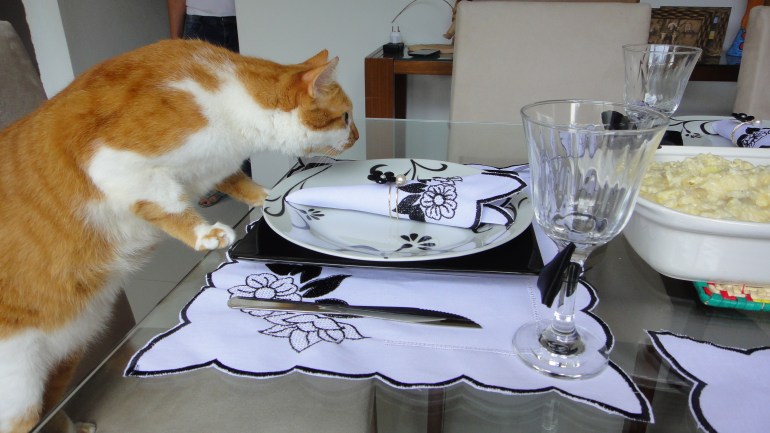 Raul já preparado para comilança.