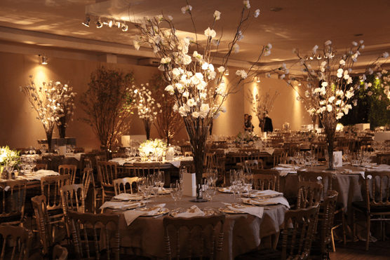 Galhos secos com rosas brancas. Um belo contraste.