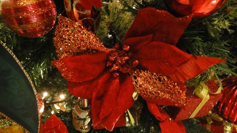 Flor de Natal