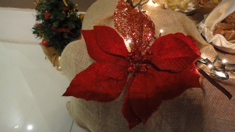 Flor de Natal deu um toque especial